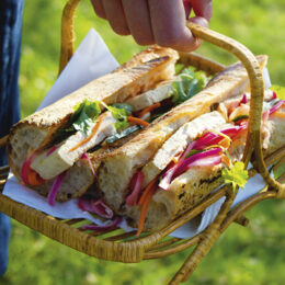 Vegetarisk Vietnamesisk Banh Mi