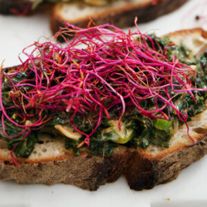 Vegetarisk Toast med grönkålsstuvning